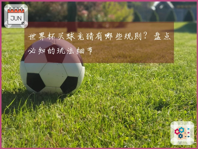 世界杯买球竞猜有哪些规则？盘点必知的玩法细节