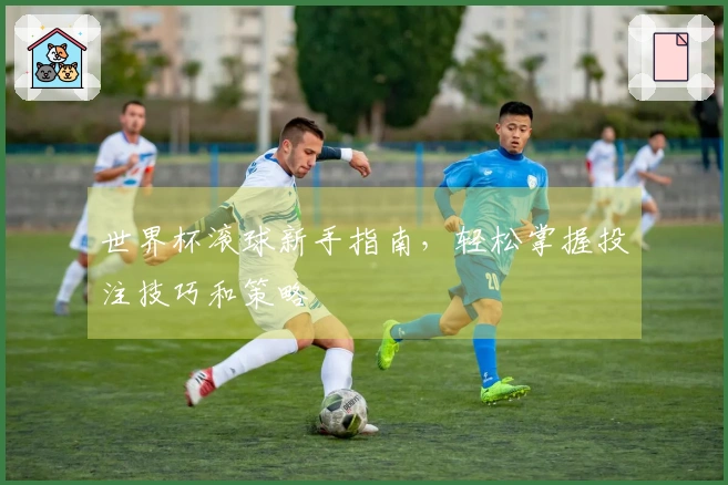 世界杯滚球新手指南，轻松掌握投注技巧和策略