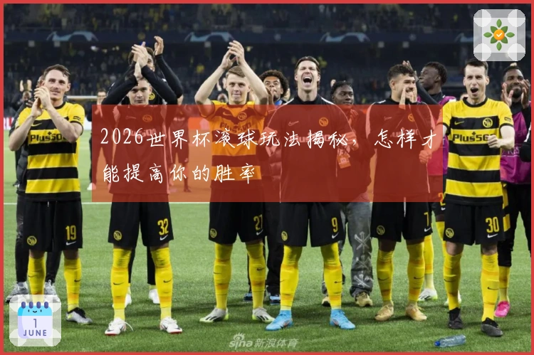 2026世界杯滚球玩法揭秘，怎样才能提高你的胜率