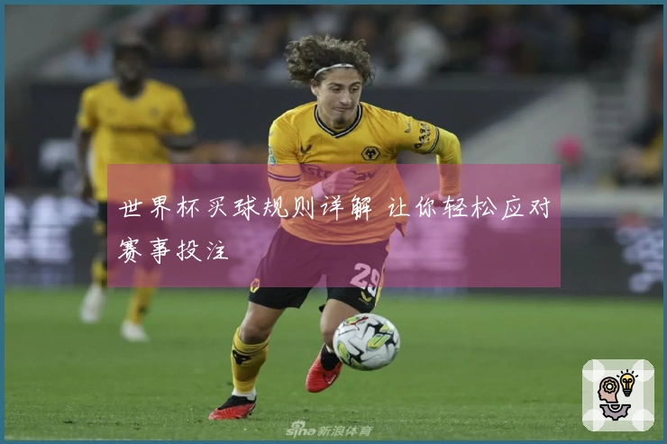 世界杯买球规则详解 让你轻松应对赛事投注