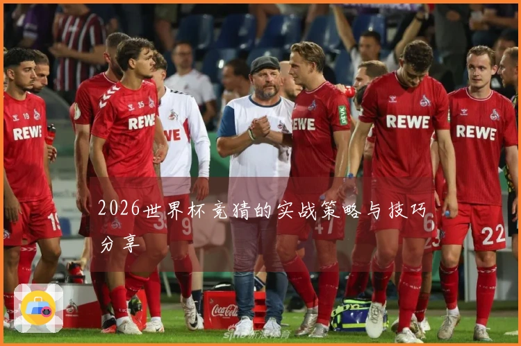 2026世界杯竞猜的实战策略与技巧分享