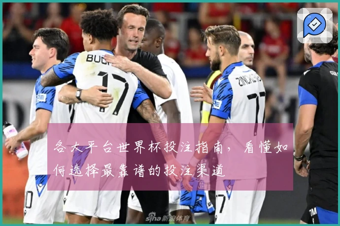 各大平台世界杯投注指南，看懂如何选择最靠谱的投注渠道