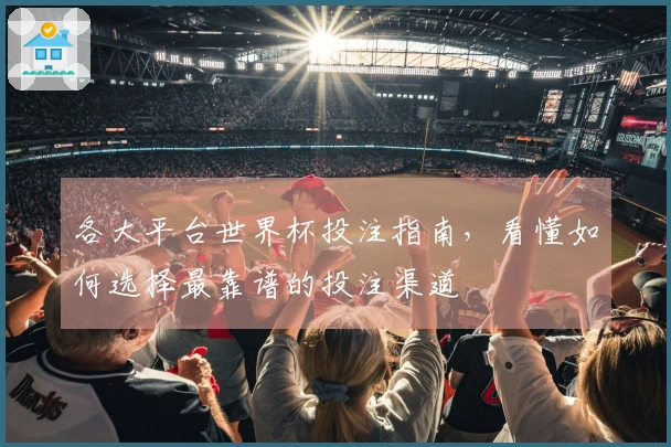 各大平台世界杯投注指南，看懂如何选择最靠谱的投注渠道