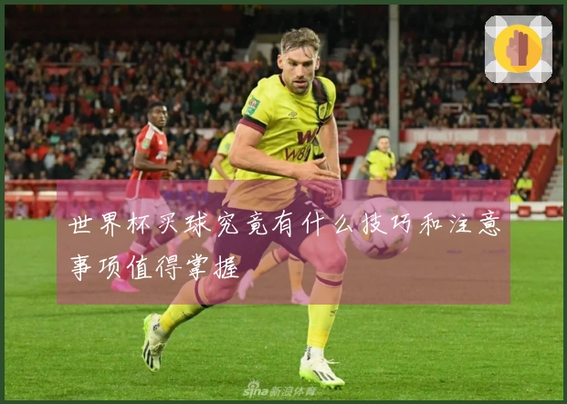 世界杯买球究竟有什么技巧和注意事项值得掌握