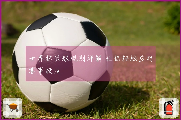 世界杯买球规则详解 让你轻松应对赛事投注